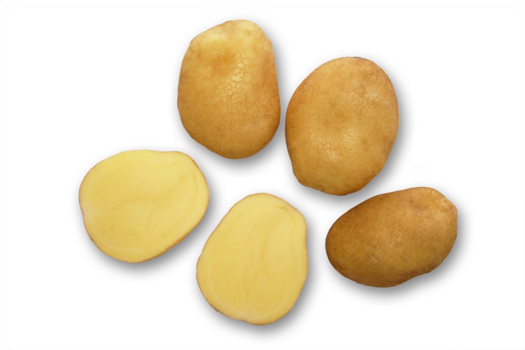 Aardappel (Hansa)
