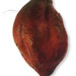 Aardappelyam (D. bulbifera)