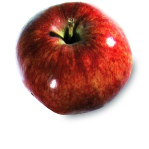 Appel (Red Delicious)