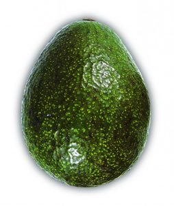 Avocado (Reid)