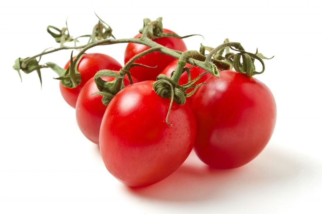Datterini-cherry pruim tomaat