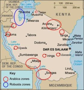 Koffie map Tanzania
