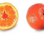 Mandarijn (Clementine)