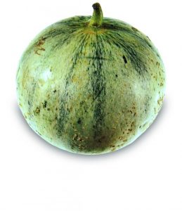 Meloen (Charentais)