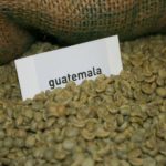 Rauwe koffieboon uit Guatemala