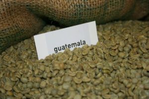 Rauwe koffieboon uit Guatemala