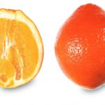 Sinaasappel (Navelina)