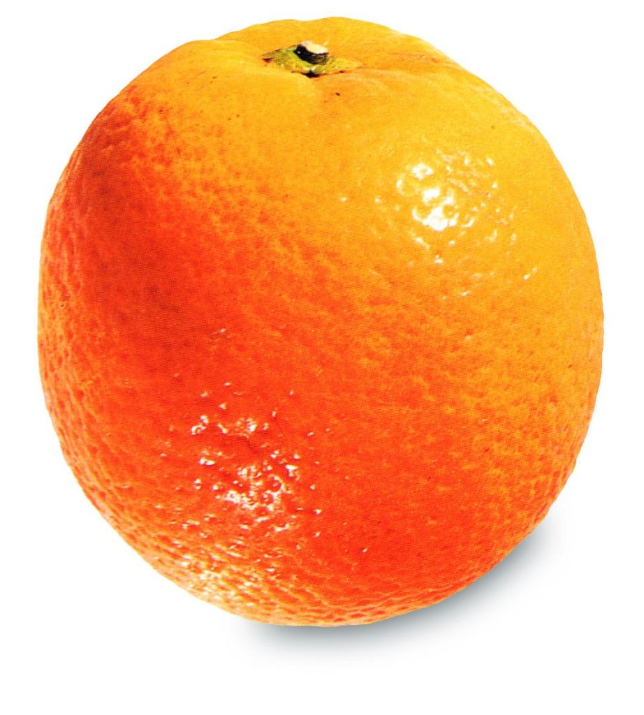 Sinaasappel (Valencia), Gastropedia