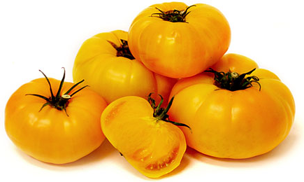 The Yellow Brandywine tomaat