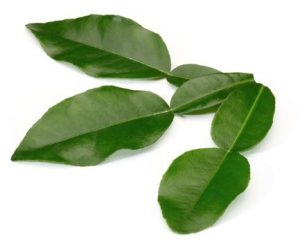  Kaffir Lime Leaves