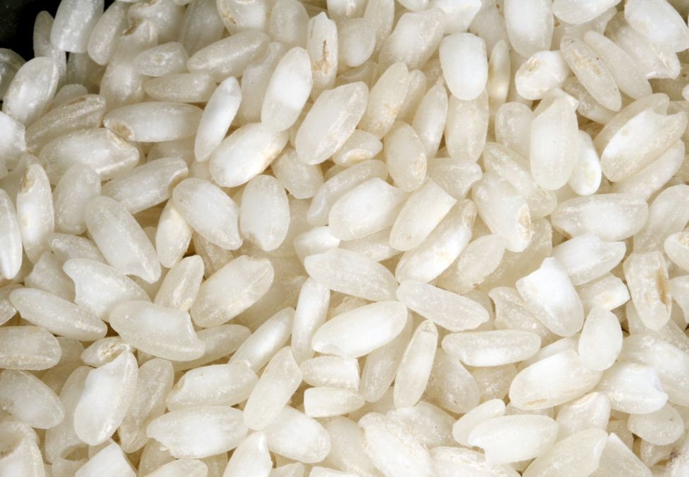 Arborio rijst, Gastropedia